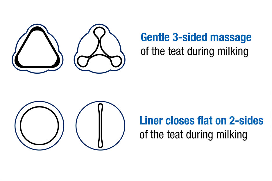 gentle three way compression teat