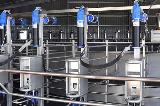 automatic teat cup removers