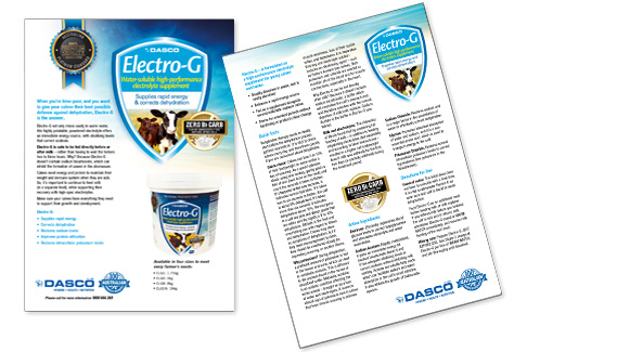 elecro g flyer