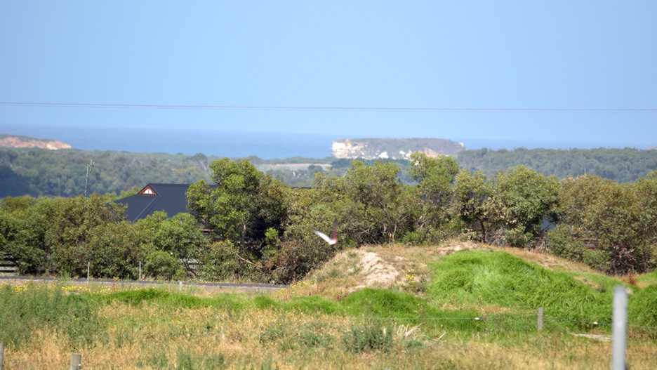 Bayriver Pastoral Dairy Port Campbell