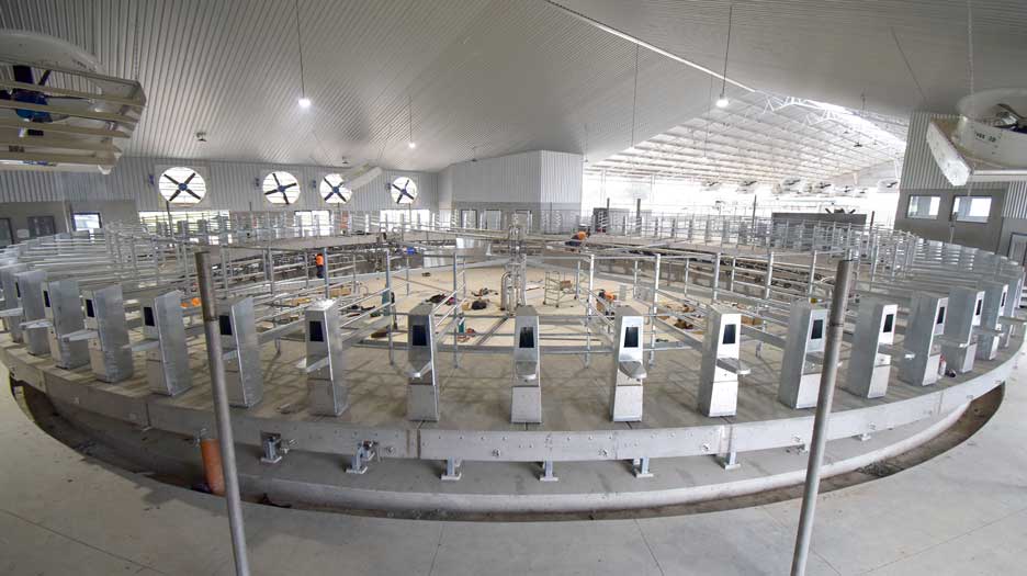 Walpole Farms Daviesway Rotary Dairy2