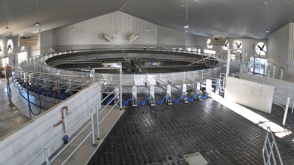 Walpole Farms Daviesway Rotary Dairy2