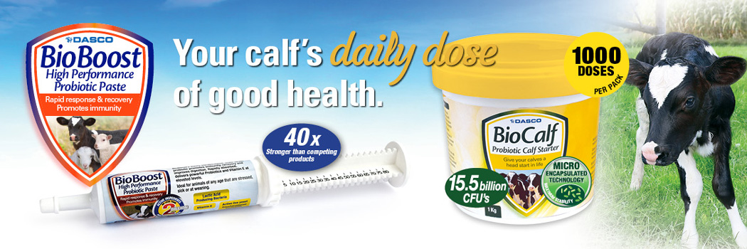 Bio Boost Calf Banner